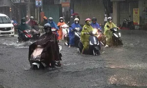 290.000 học sinh Đà Nẵng nghỉ tránh mưa bão